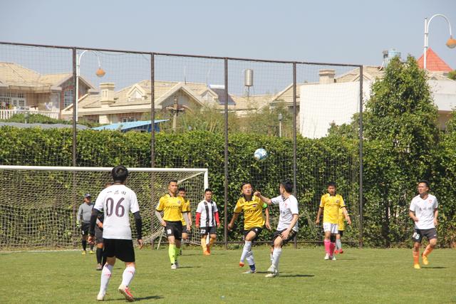 ued体育网页版首页展示图
